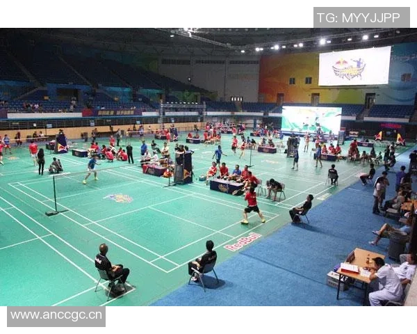 杭州羽毛球队与成都羽毛球队赛后复盘分析灵活性表现与战术对比